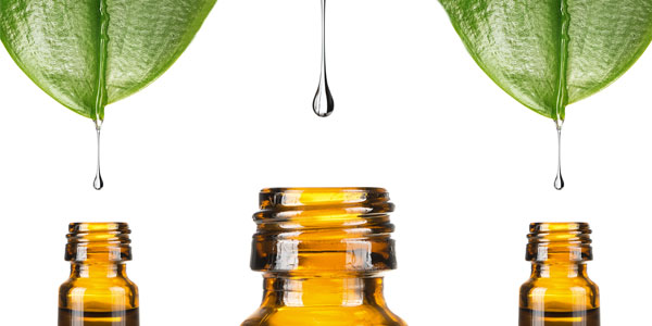 Cannabis oil and itsSide Effects