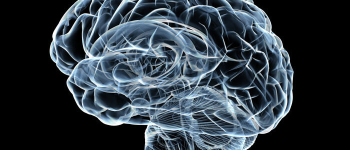 Things to Know about Smart Drugs – How They Optimize the Brain’s Overall Function