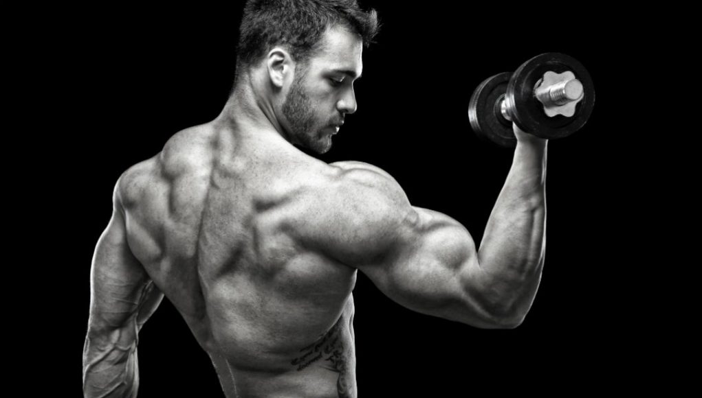 how to get big arms fast