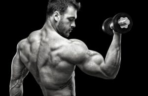 how to get big arms fast