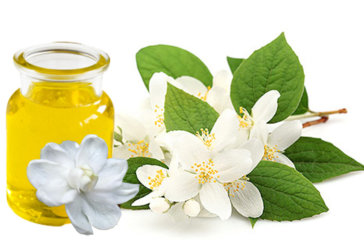 jasmine essential oil