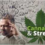 weed2