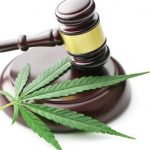 California Marijuana Dispensary Laws