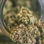 Marijuana Dispensary Laws