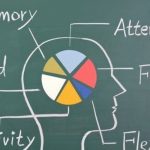 Nootropic providers for your supplements