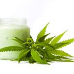 Brisk Health Benefits of CBD Hemp Tea For Regular Drinkers