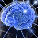 vitaminas para el cerebro